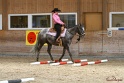 26-ApHC GT_144
